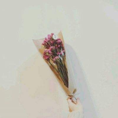秦美人破解版下载